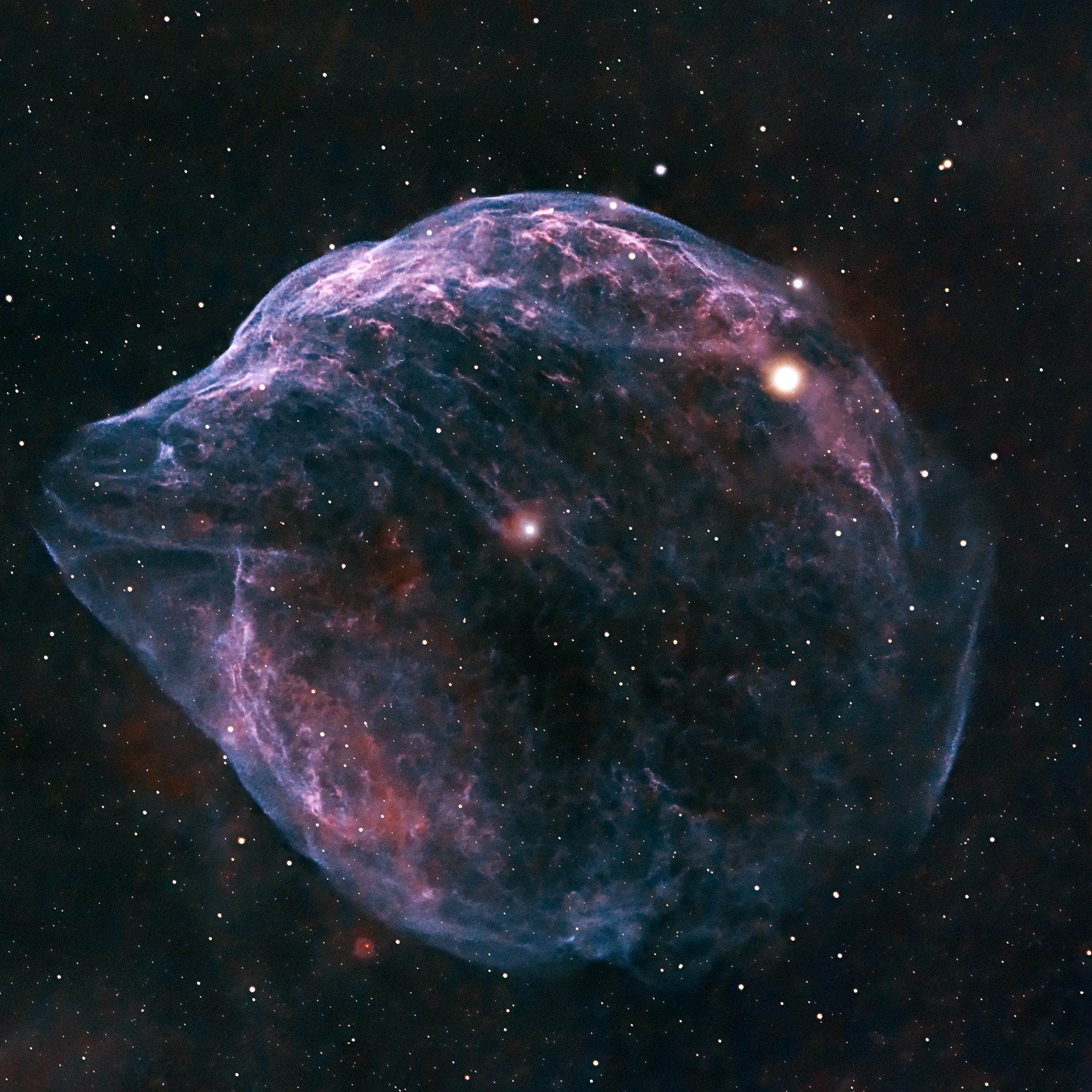 Dolphin Nebula